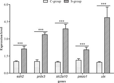 H3K4me3 CUT&Tag and Transcriptome Analysis Reveal the Epigenetic Regulatory Landscape in Gill Tissue of Large Yellow Croaker (Larimichthys crocea) Under Low Salinity Stress